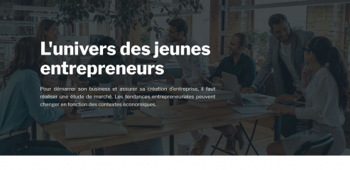 https://www.jeunes-entrepreneurs.net